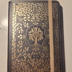 Agenda, jak bylo nahlášeno na iLost