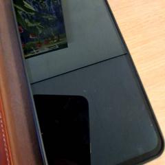 Smartphone Samsung, a été signalé par Keukenhof utilisant iLost