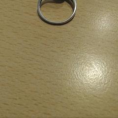 Anillo silver, ha sido reportado por Walibi Holland con iLost