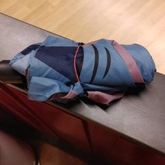 Umbrella, as reported by IKEA Brno using iLost