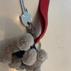 Sleutel aan rood kd met hondje, iLost에 보고됨
