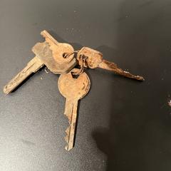 Keys, gerapporteerd met iLost