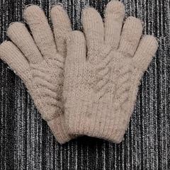 Guanti, come riportato da Arriva Limburg Zuid utilizzando iLost