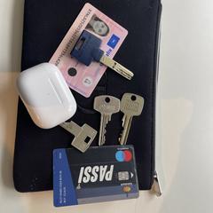 Zwart CD tasje, som rapporterats till iLost