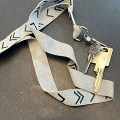 Gakoa, gisa salatu by Regio Oost-Vlaanderen iLost erabiliz