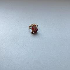Ring, gemeldet von Madurodam über iLost