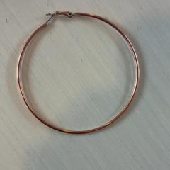 İLost kullanarak Madurodam tarafından bildirildiği gibi Küpe