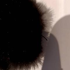 Przytulanka, zgłoszono przez De Efteling przy użyciu iLost