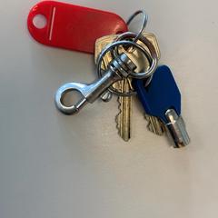 Clau, segons ha informat Gemeente Wijk bij Duurstede mitjançant iLost