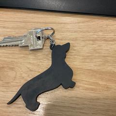 Llave Zwart hond, ha sido reportado por Gemeente Alkmaar con iLost