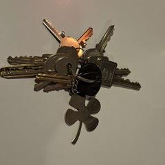 Llavero met klavertje vier, ha sido reportado por Gemeente Duiven con iLost