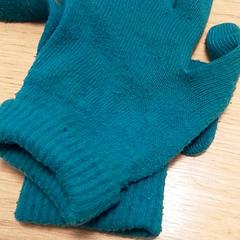 Glove Groen/blauw, as reported by Qbuzz Fryslân using iLost