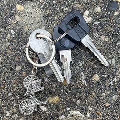 Sleutels fiets en woning, iLost에 보고됨