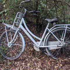 Fiets, som rapporterats till iLost