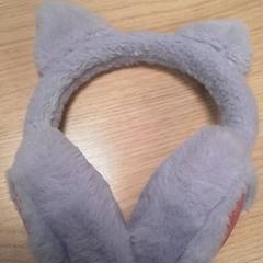 جهاز تدفئة الأذنين، كما تم الإبلاغ عنه بواسطة Qbuzz Fryslân عبر iLost