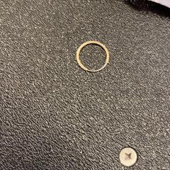 イヤリング がiLostで Pathé Utrecht Leidsche Rijn によって報告されました