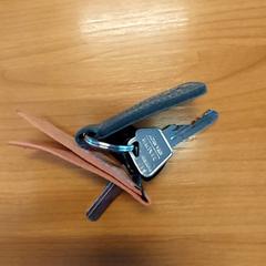 Keys, as reported by Blauwnet Zwolle using iLost