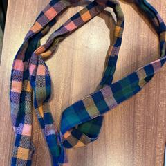 Ceintuur Geblokt がiLostで Pathé Rembrandt Utrecht によって報告されました