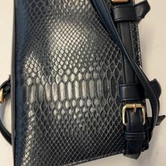 Bag, as reported by GVB using iLost