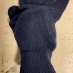 Hansker, som rapportert av Artis ved bruk av iLost