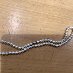 Collar Parels, ha sido reportado por Gemeente Gooise Meren con iLost