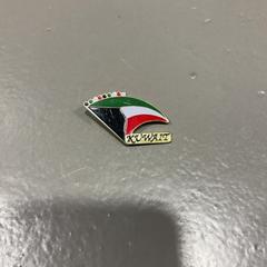 Stecknadeln, gemeldet von Fenix über iLost