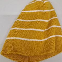 Txapela, gisa salatu by Transdev Gooi en Vechtstreek iLost erabiliz