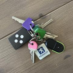 Sleutelbos met autosleutel, segons s'ha informat a iLost