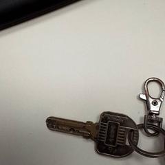 Nøkkel, som rapportert av ilévia ved bruk av iLost