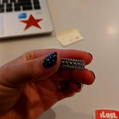 Ring Zilver, zoals gemeld door Padualaan 97 met iLost