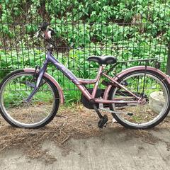Kinderfiets Run & Bike ventura paars-roos, zoals gemeld door Fietsdepot met iLost