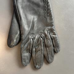 Hansker, som rapportert av Burgers' Zoo ved bruk av iLost