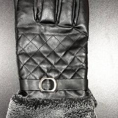 Luvas Zwart, segundo informou Arriva Vechtdallijnen usando iLost