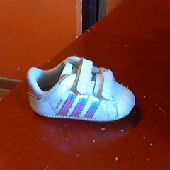 kinder schoen, zgłoszono przez Apenheul przy użyciu iLost