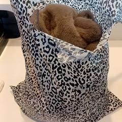 Sack, gemeldet von RAI Amsterdam über iLost