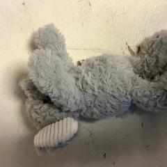 Mazlící hračka, jak nahlášeno Artis pomocí iLost