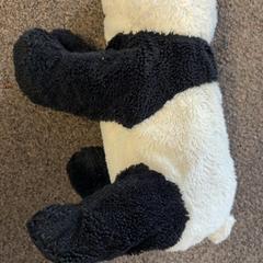 Knuffel, as reported by Burgers' Zoo using iLost
