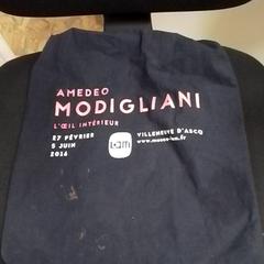 가방 Bommel, iLost를 사용하여 ilévia에 보고됨