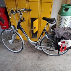 Gazelle fiets, iLost에 보고됨