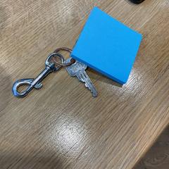 Klucz Met foto hanger, zgłoszono przez Designer Outlet Roosendaal przy użyciu iLost