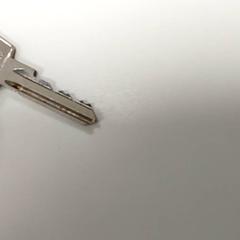 Gakoa, gisa salatu by Centraal magazijn iLost erabiliz