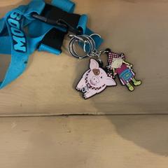 Keycord, jak nahlášeno Familie Resort Molenwaard pomocí iLost