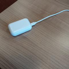 Oplader voor oortjes, as reported by Arriva West-Brabant using iLost