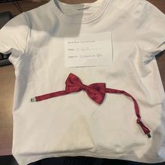 셔츠 rood en wit, iLost를 사용하여 Haven Hotel Rotterdam에 보고됨