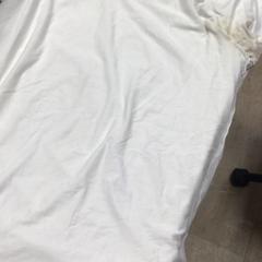 Camisa, segons ha informat Hotel van der Valk Maastricht mitjançant iLost