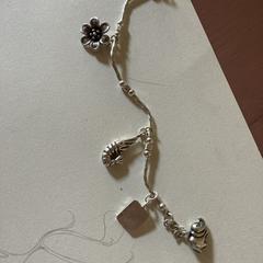 Armband がiLostに報告されました