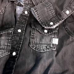 Bloes kind, como reportado por Diergaarde Blijdorp utilizando o iLost