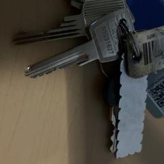 Kľúčenka, ako bolo nahlásené Jaarbeurs pomocou iLost