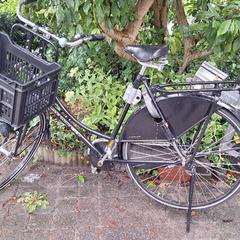 Zwarte dames fiets، كما تم الإبلاغ عنه عبر iLost