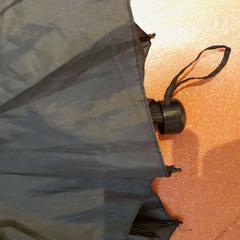 折り畳み傘 noir がiLostで TCL によって報告されました